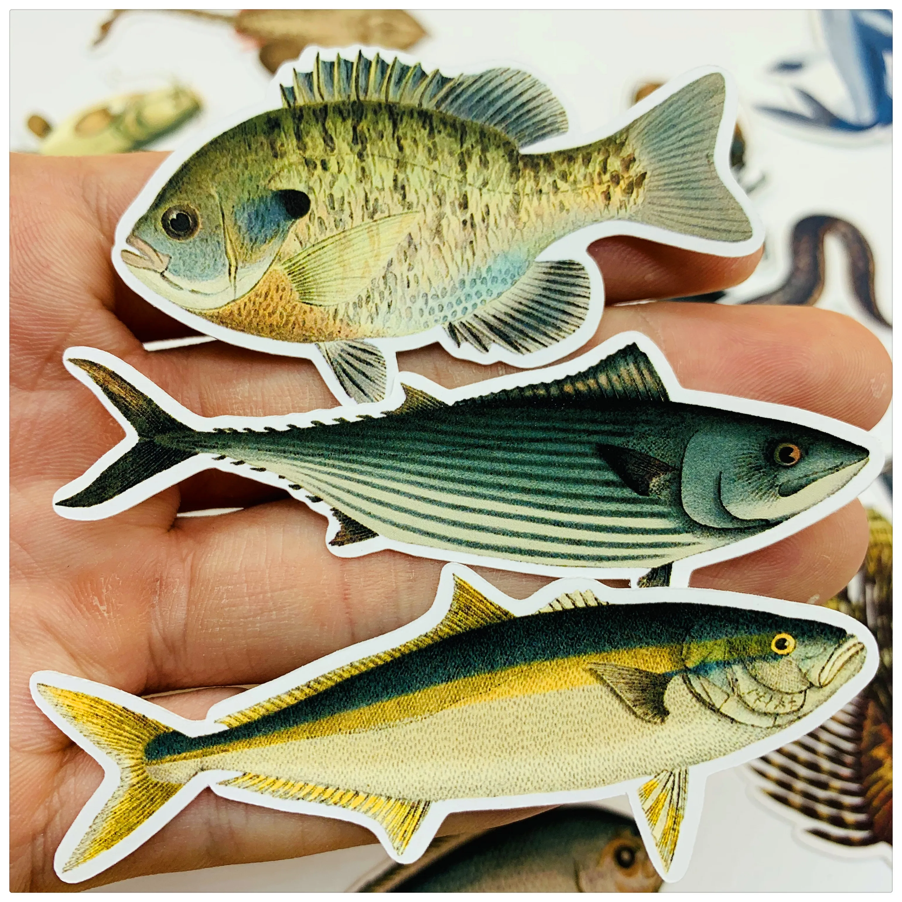 

24Pcs/Pack Vintage Ocean Sea Animals Fish Sticker DIY Craft Scrapbooking Album Junk Journal Planner Decorative Stickers