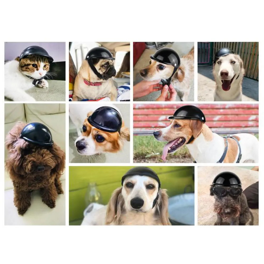 Собака шляпа собака косплей одеваются шлемы для велосипеда мотоциклы крутая