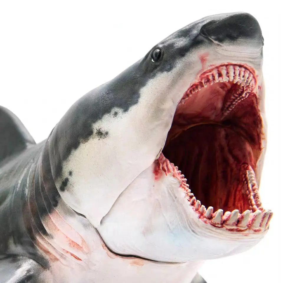 16*10 см моделирование Megalodon Акула океан животных серии статические изысканные