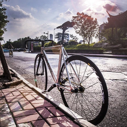 

aluminum alloy universal racing dead bicycle for men and women