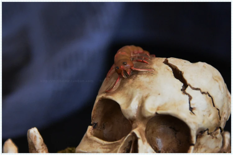 skull ashtray resin creative jewelry ring storage display personality Halloween gift aromatherapy box cranium funny horror | Дом и сад