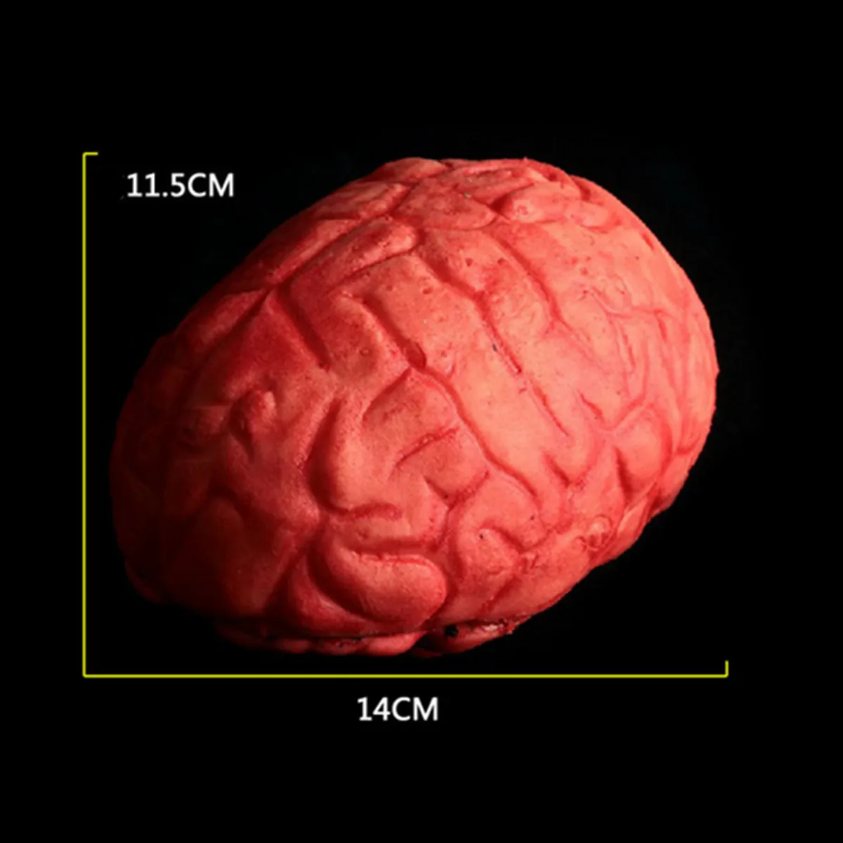 Brain Хэллоуин ужас кровавый реквизит ручной дом с привидениями вечерние украшения страшные руки палец ноги сердце - Цвет: Brain