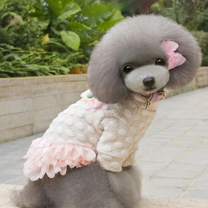 Платье для собаки Тедди Осень Зима Одежда принцесса Бишон Pettiskirt одежда домашнего