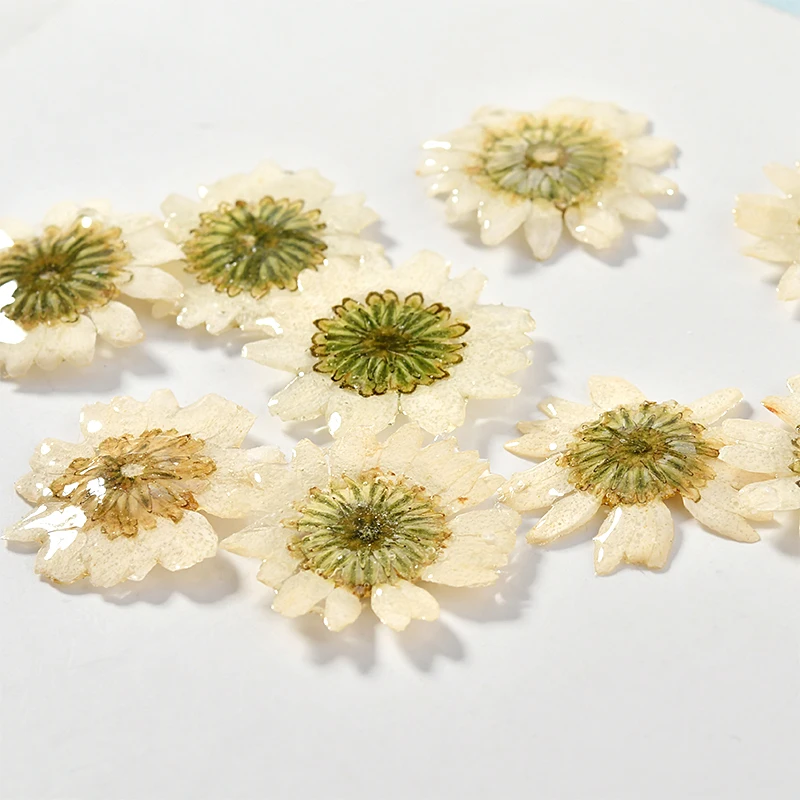 Материал аксессуары для Diy серьги Мори цветок падение клей маленькая Маргаритка