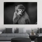 Черно-белые симпатичные обезьянки, холст, фотообои и принты, искусство, животные, настенные картины, декор для детской комнаты