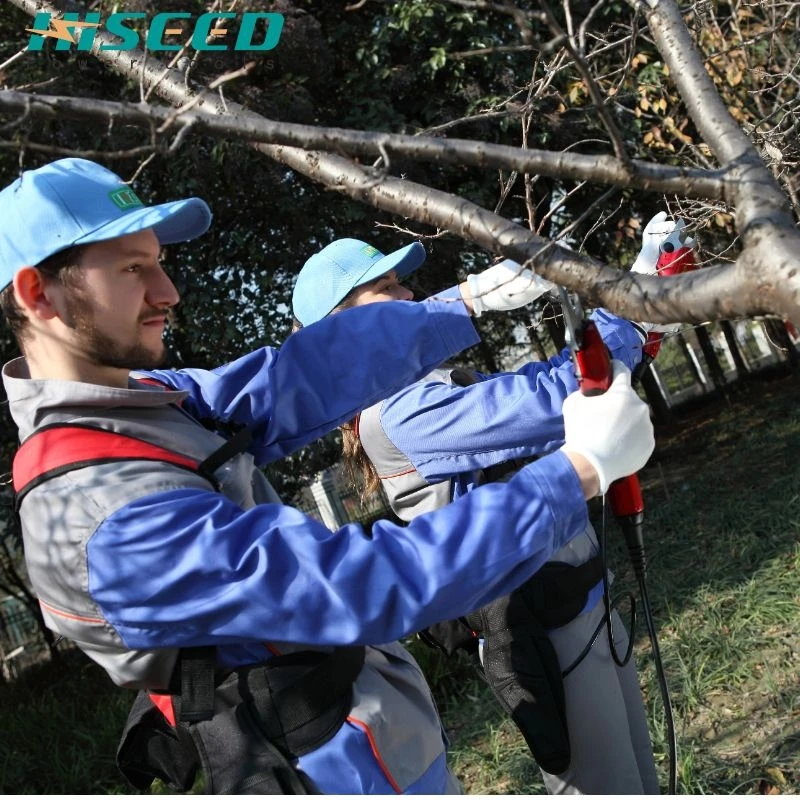 Электрическая ручная Удлиняющая машина для обрезки персикового дерева