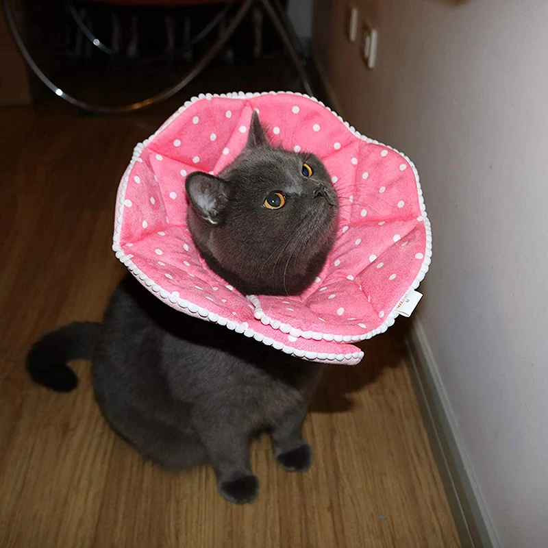 @ HE медицинский ошейник для домашних животных защита от укусов ошейники питомцев