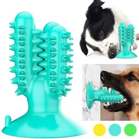 dog toy pet molar tooth cleaner brushing stick trainging chew doggy puppy dental care puppies cactus toothbrush with suction cup