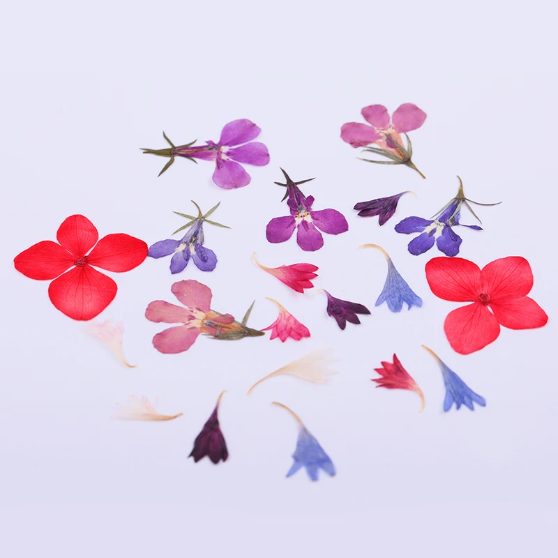 Сушеные цветы украшение для ногтей натуральная наклейка в виде цветка 3D сухие