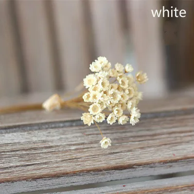 White 200 шт., Denisfen, милые мини-ромашки, декоративные сушеные цветы, маленькая звезда, цветок, натуральный цветок для свадьбы, украшения дома, Флорес - Цвет: White