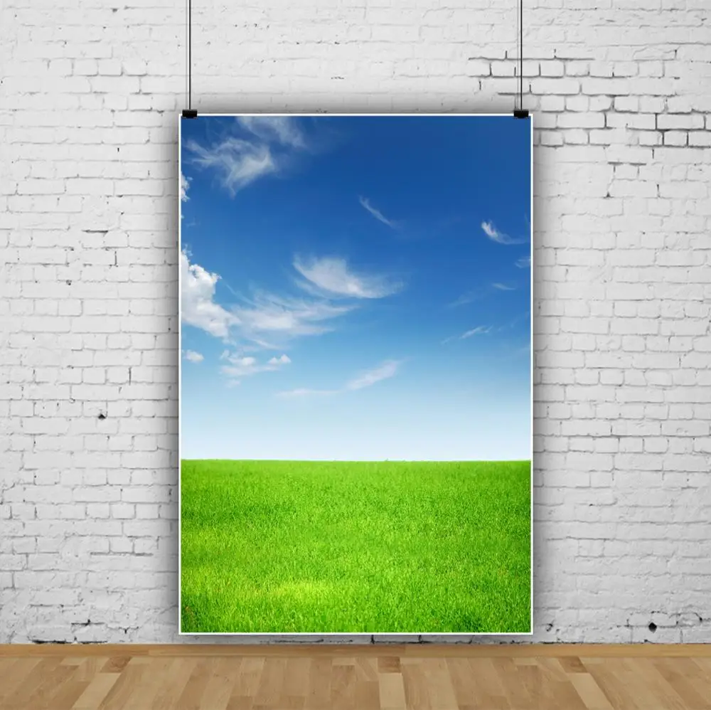 Laeacco Natural Scenery Green Grass Blue Sky Cloud Room Decro Portrait Photographic Backgrounds Backdrops Photocall | Электроника