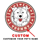 Нашивки Border Collie с изображением животных и собак, индивидуальное имя вашего питомца, нашивки для одежды, термопечать, дешево