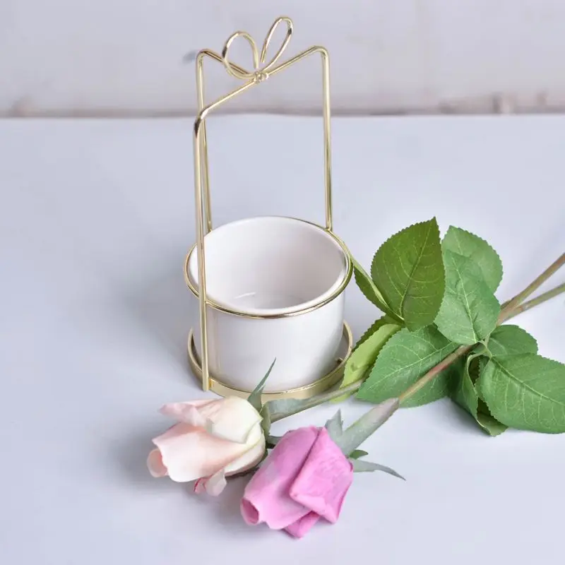 Декоративные растения суккуленты цветочный горшок птица круглая рама