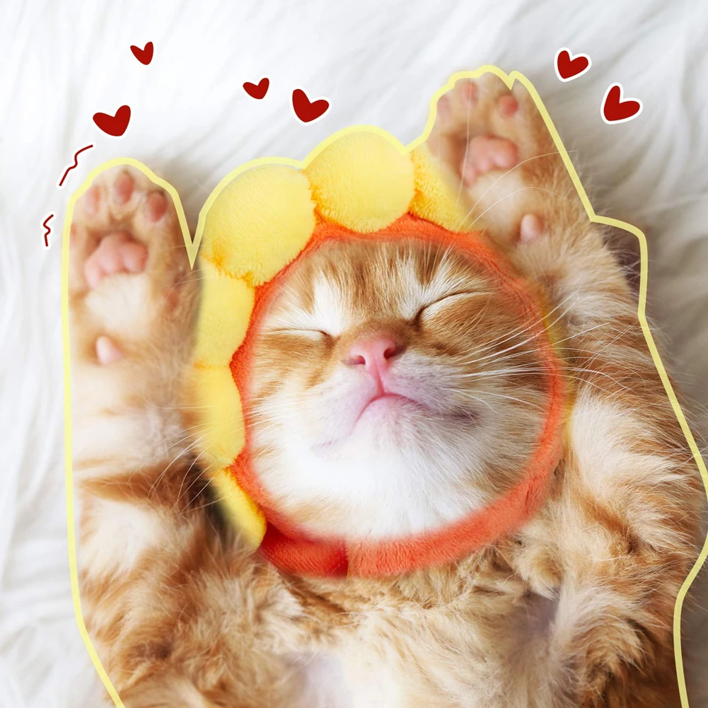 ПЭТ Забавные головные уборы милый костюм банана Кепки с рисунком &quotПодсолнух&quot