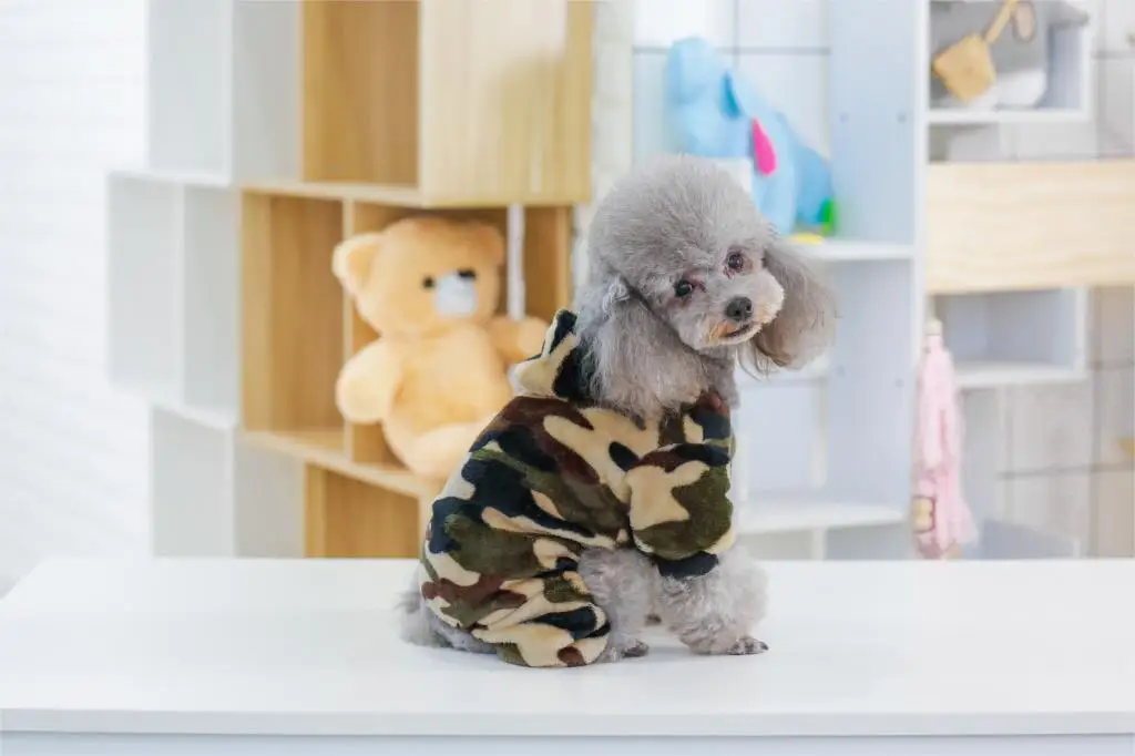 Горячая собака мягкая куртка костюм зимняя теплая одежда для маленьких собак