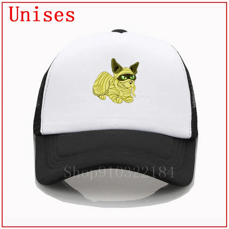 Бестселлер: шапки для женщин и мужчин в виде кота египетской мамы модные 2020 |