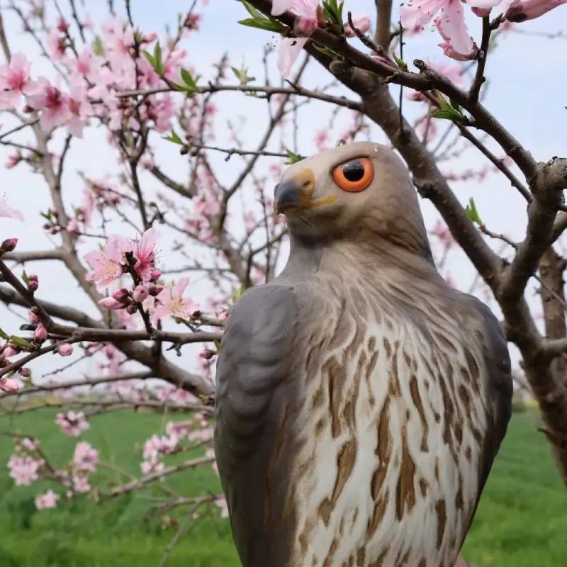 Реалистичный Сокол ястреб приманка отпугиватель птиц сова искусственная