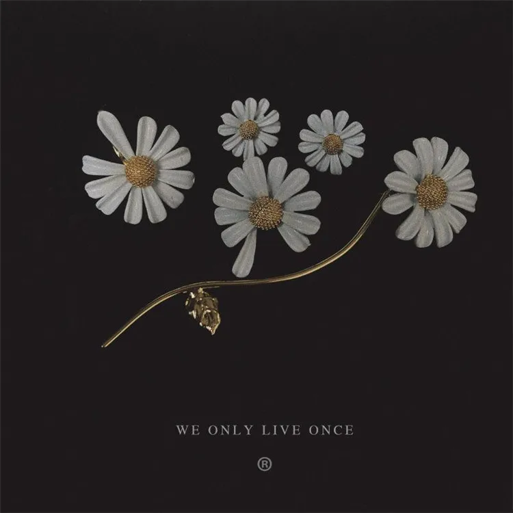 

Модное асимметричное ромашки белые цветы эмаль женские длинные подвески серьги вечерние ювелирные изделия с бахромой, серьги, модное ювели...