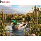 Картина 5d сделай сам Huacan, алмазная живопись, Настенная Наклейка с уткой, бриллиантовая мозаичная фигурка животного год, вышивка крестиком, домашний декор