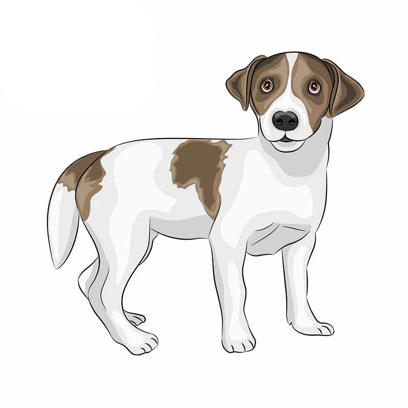 Милые пвх наклейки джек рассел терьер собака аниме декор мотоцикл внедорожник