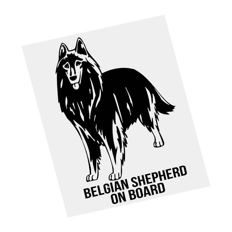 

S61487# Belgian Shepherd Dog On Board Black Transparent Car Sticker Vinyl Decal Waterproof Decors for Motorcycle Bumper Laptop