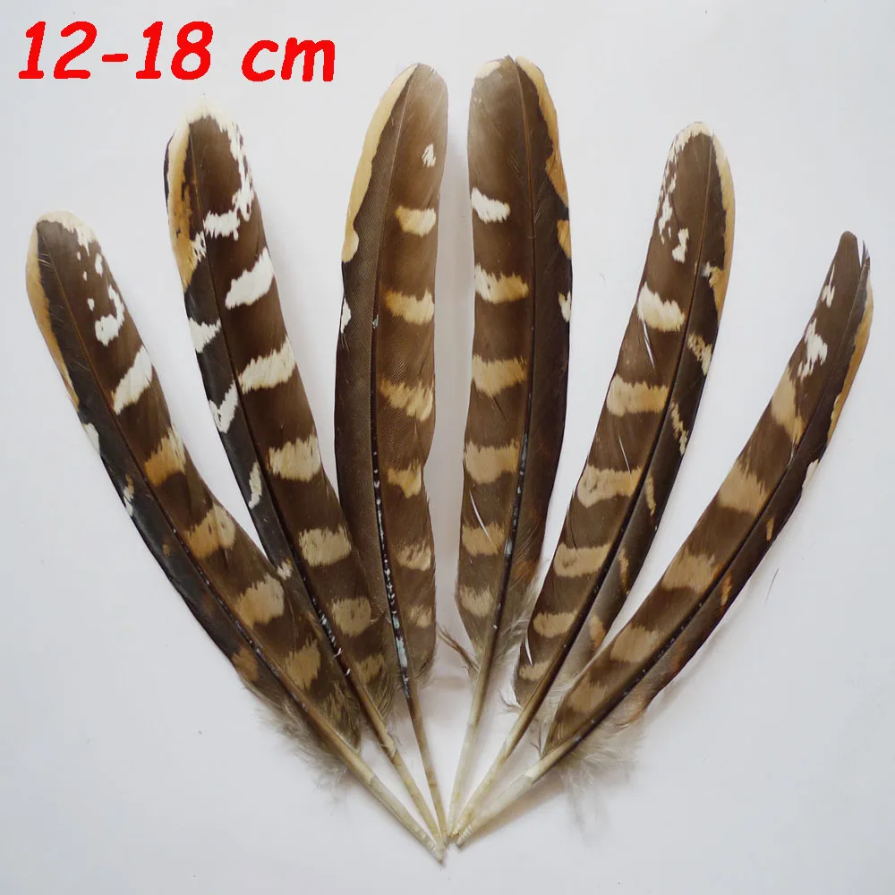 

Wholesale 20Pcs 12-18cm Natural Chicken Pheasnt Plumas Feathers For Mask Jewelry Decoration DIY Crafts Show Accessories Plumes
