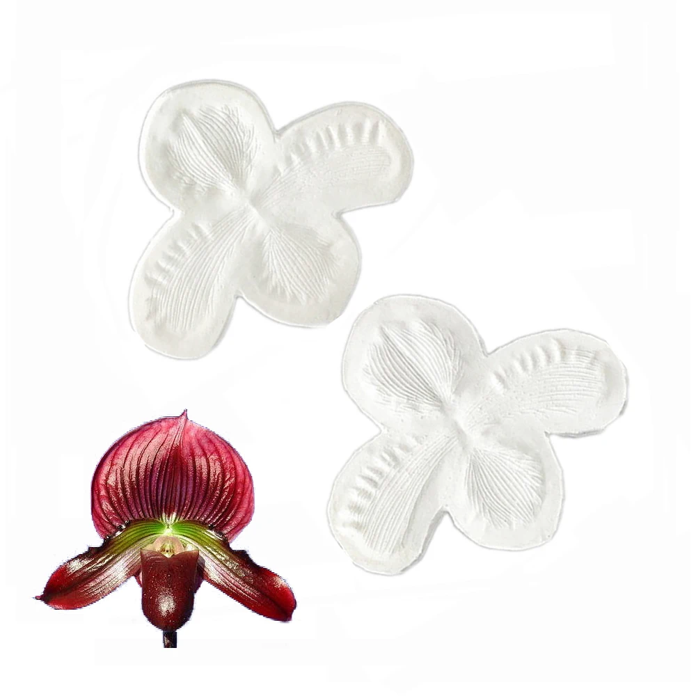 Paph callosum лепесток подлинные цветы украшение для тортов шоколадная мастика глина