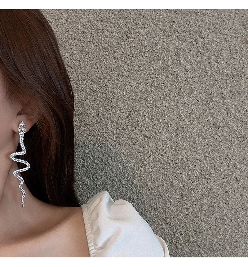 

2020 Europe Jewelry Rhinestone Snake Geometric Female Exaggerated vintage Earrings
