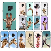toplbpcs giraffes cute animal phone case for samsung galaxy j7 prime j2pro2018 j4 plus j5 prime j6 j7 duo neo j737 j8