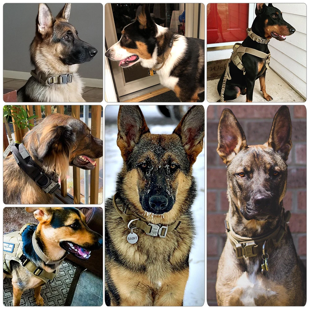 

Dog Collar Adjustable Military Tactical Pets Dog Collars Leash Control Handle Training Pet Cat Dog Collar For Small Large Dogs