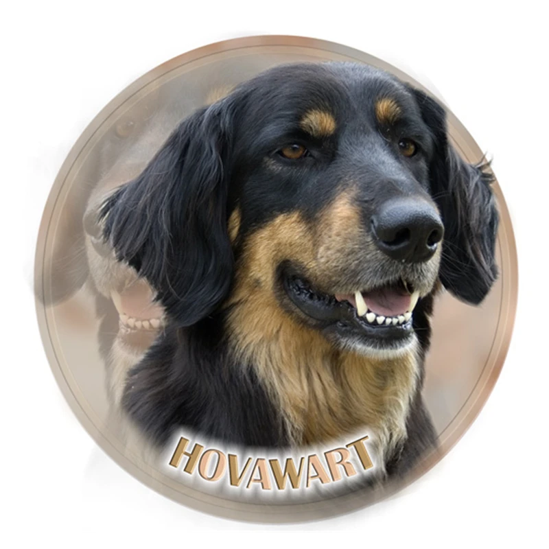 S40376 # различные размеры ПВХ наклейка Hovawart Dog V2 животные автомобильные наклейки для бампера заднего окна ноутбука холодильника туалета