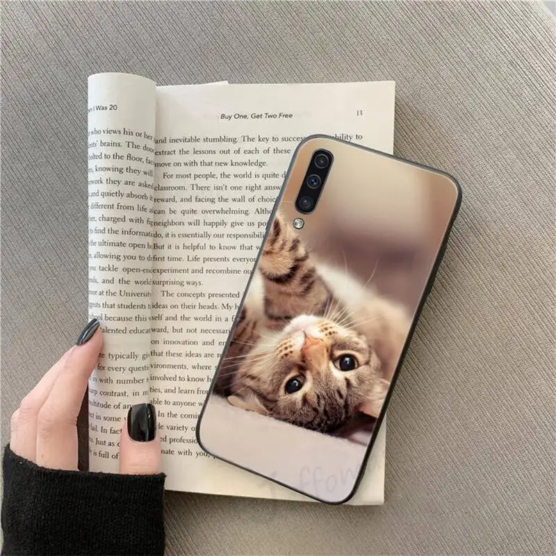 

Cat kitten Lovely animal Phone Case For Samsung galaxy S 9 10 20 A 10 21 30 31 40 50 51 71 s note 20 j 4 2018 plus