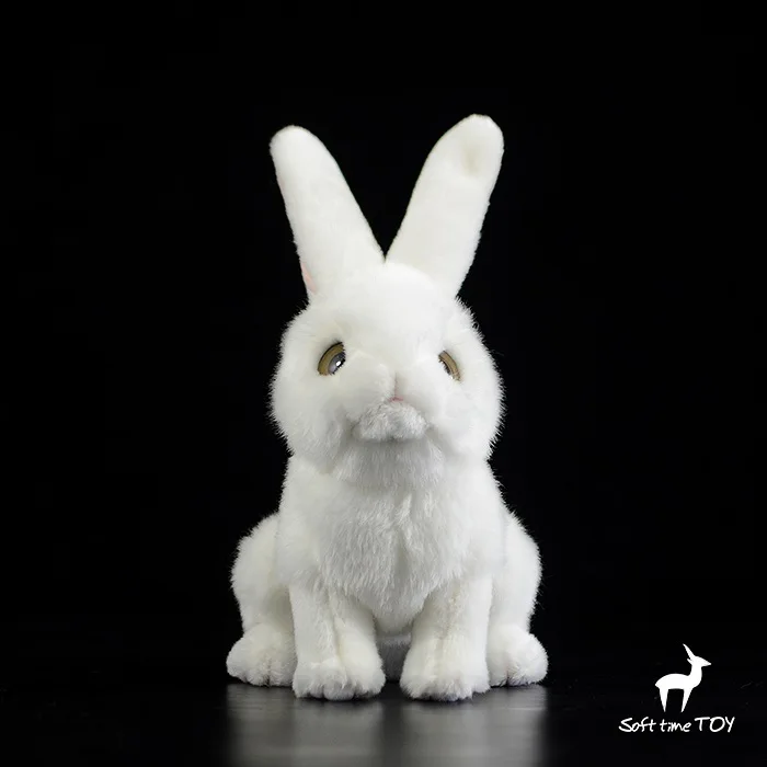 

Stuffed Animals & Plush