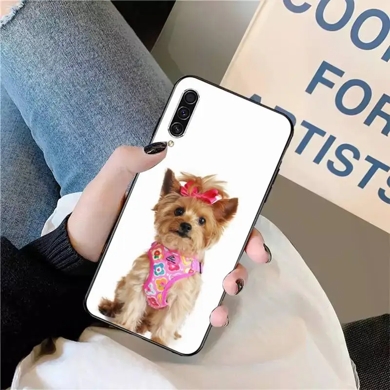 

yorkshire terrier dog puppy Phone Case For Samsung galaxy S 9 10 20 A 10 21 30 31 40 50 51 71 s note 20 j 4 2018 plus