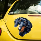 Печатный самоклеющийся наклейки на авто  Такса  водонепроницаемые наклейки на машину стикер этикеты наклейки стайлинга автомобилей украшения на бампере автомобиля заднее стекло