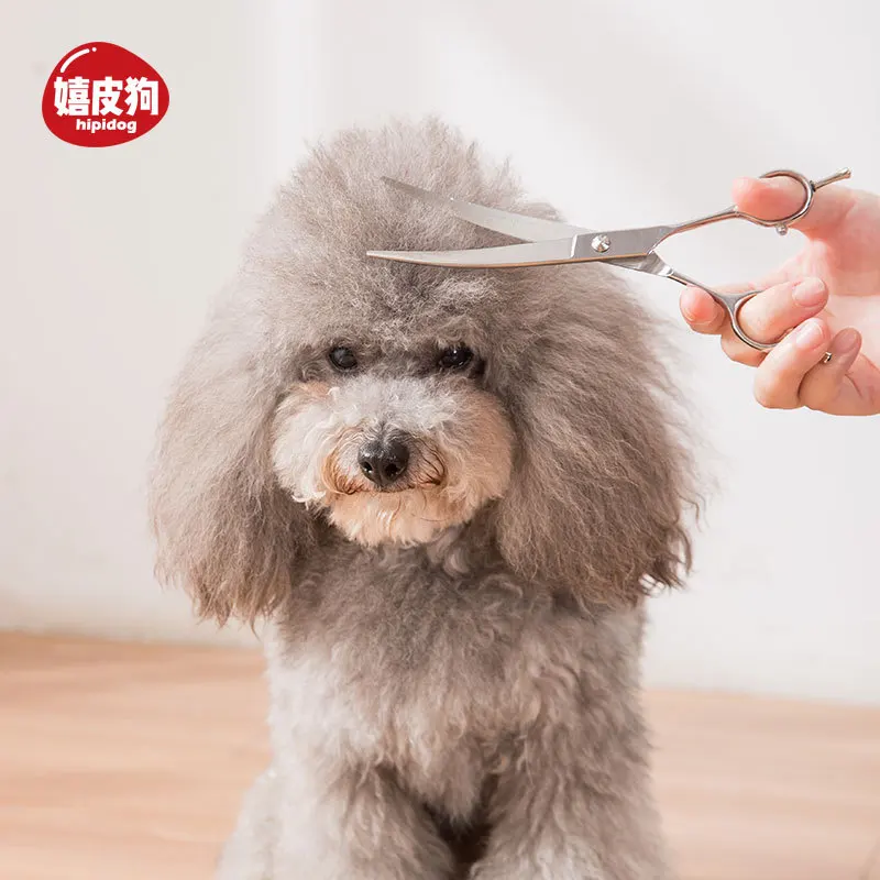 

Ножницы для стрижки собак Teddy dog, профессиональный набор инструментов для чистки и красоты домашних животных