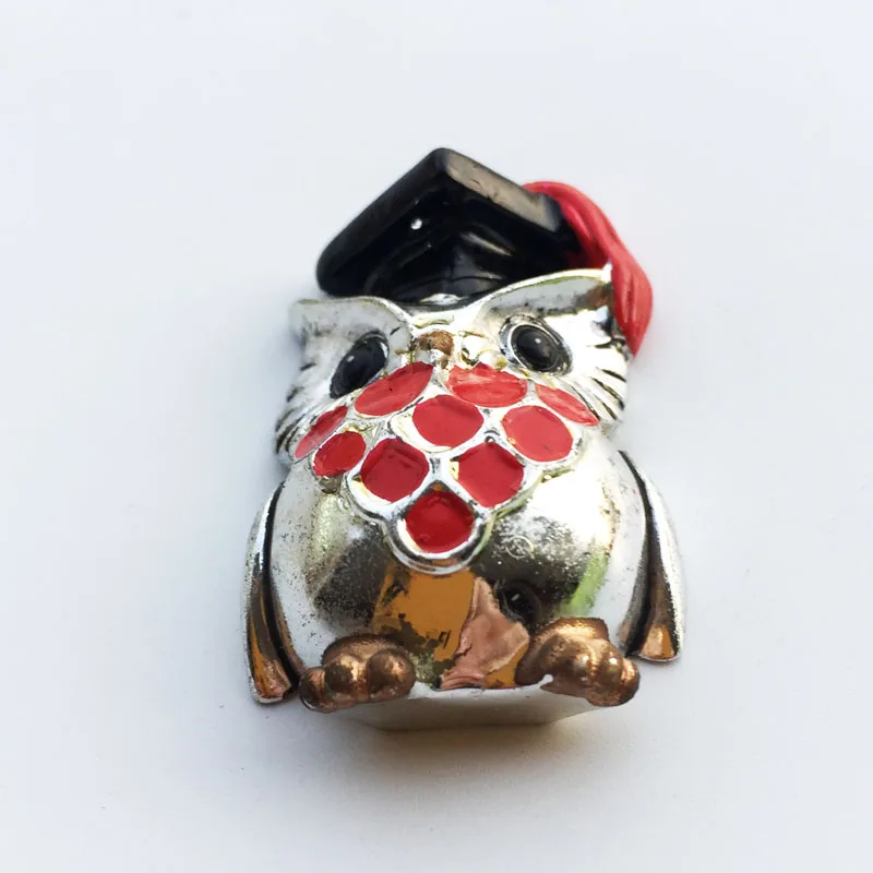 Доктор окрашенные покрытия сова Германия Греция Испания магниты на холодильник |