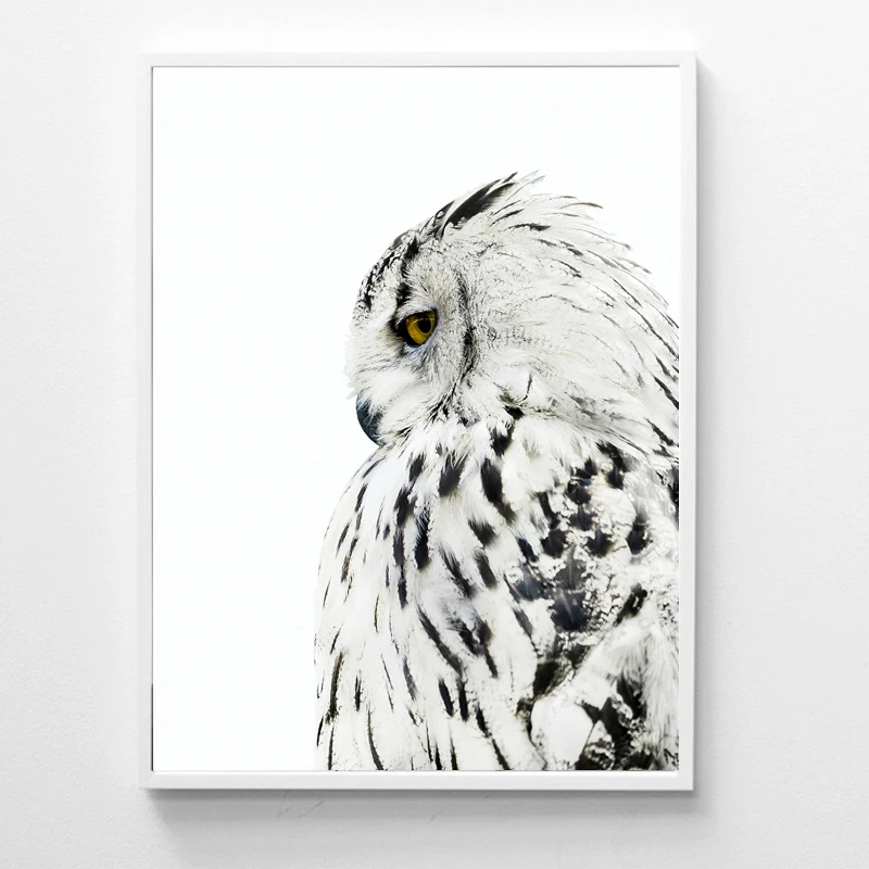 Сова плакаты и принты настенная живопись холст настенные картины для гостиной