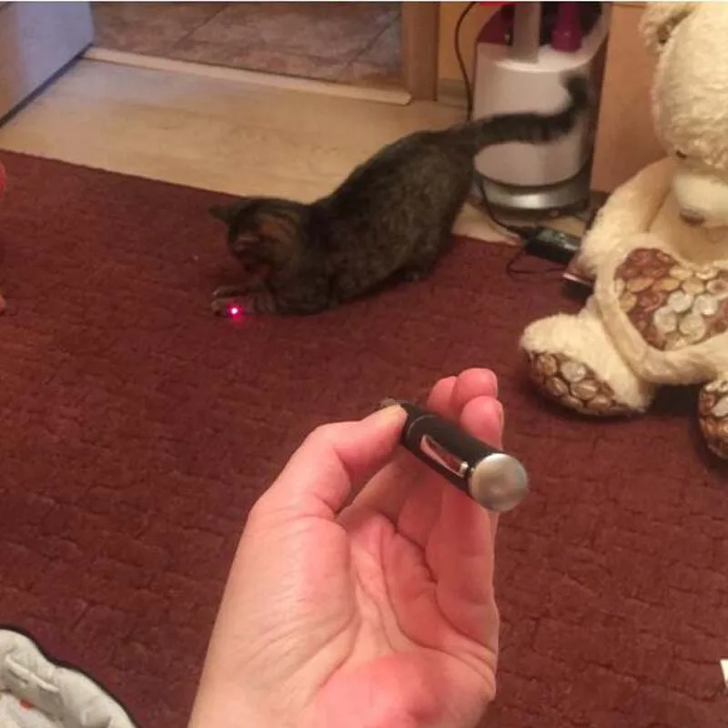 Мини Портативный игрушки кошки Red Dot лазерный прицел указатель ручка для отдыха