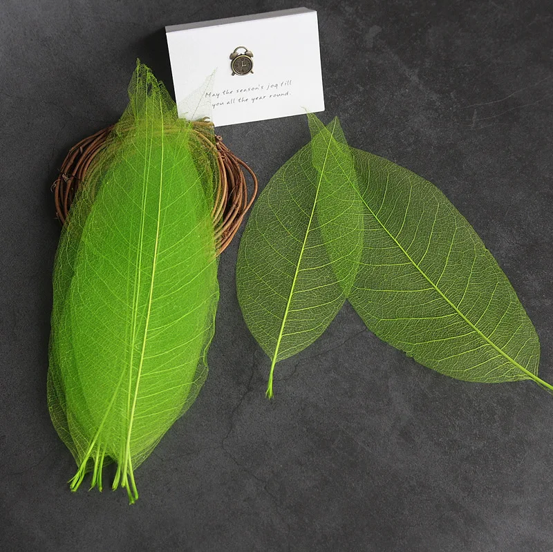 50pcs/15-20cm Natural Pressed leaves Real Dried Flower for DIY Wedding invitation Craft Bookmark Birthday Card gift box decor - купить по