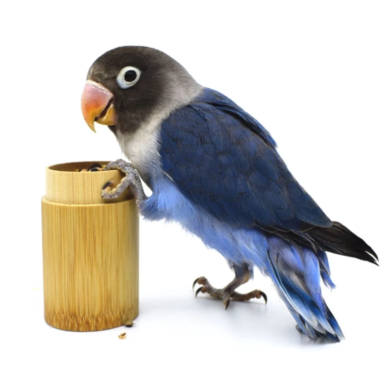 

T21D Bird Training Food Jar Parrot Hand-held Feeder IQ Growth Training Tools Bird Interactive Educational Toys Bird Tabletop for