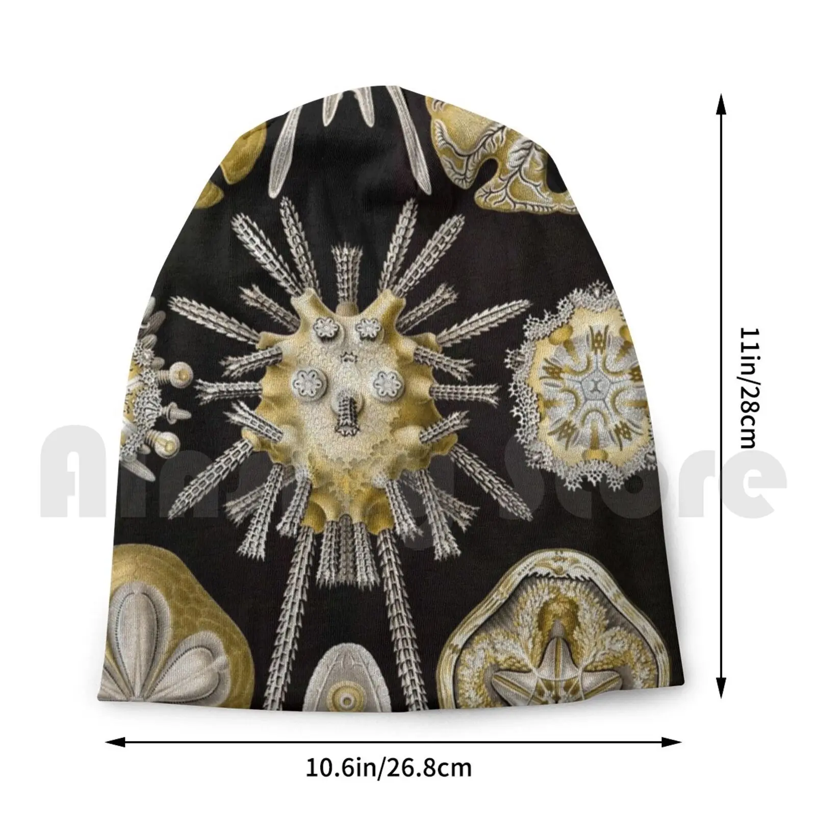 Ernest Haeckel Echinidea мелкое искусство литография морские шапочки вязаная шапка хип-хоп