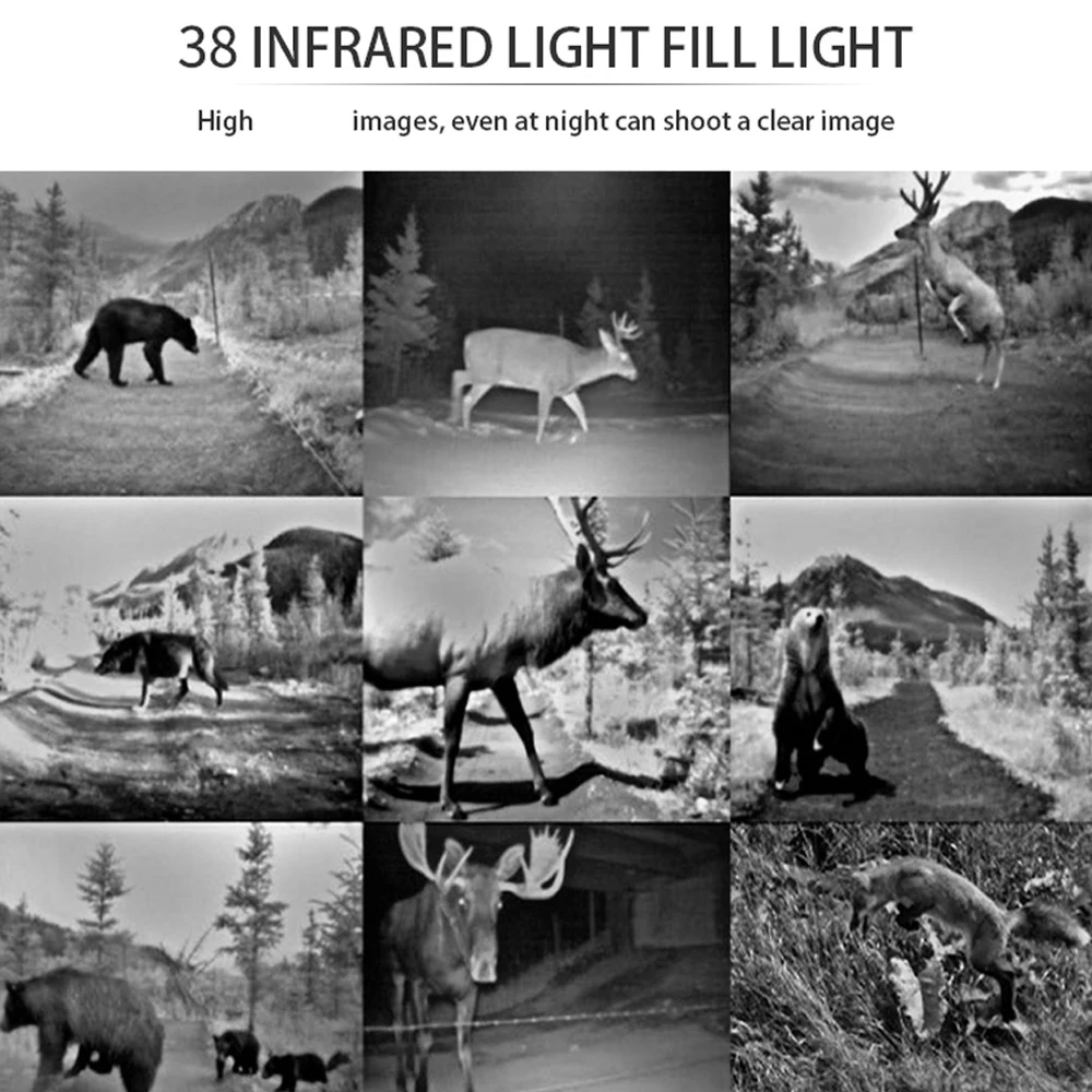 Trail дикой природы Камера 16MP 1080P Ночное видение Сотовая связь мобильный Охота s