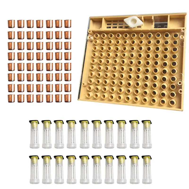 Beekeeping Tools Equipment Set Queen Rearing System Cultivating Box 110pcs Plastic Bee Cell Cups Cup kit Queen Cage