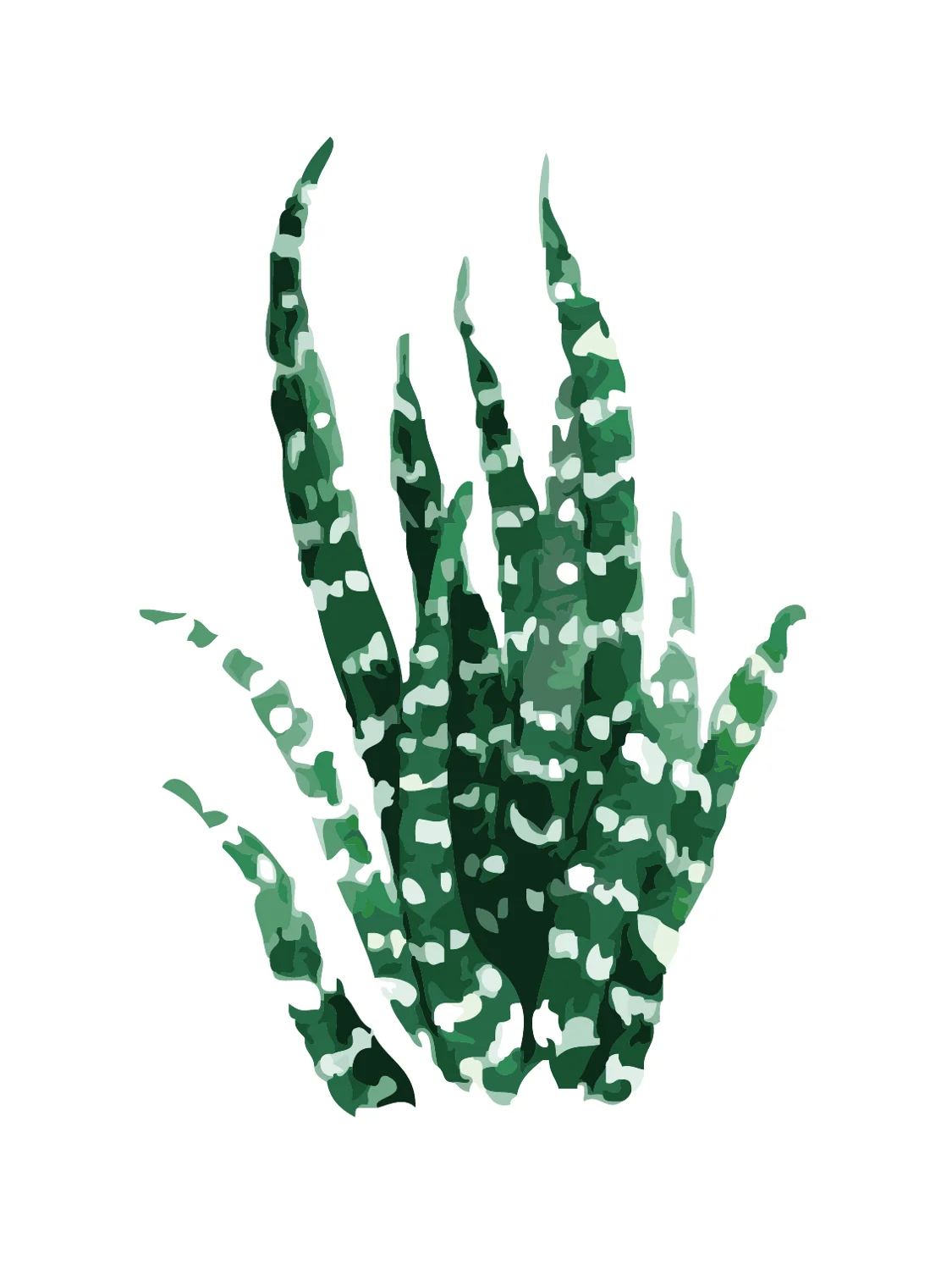 Простая краска кактус по номерам художественная ing ручная ed зеленые растения