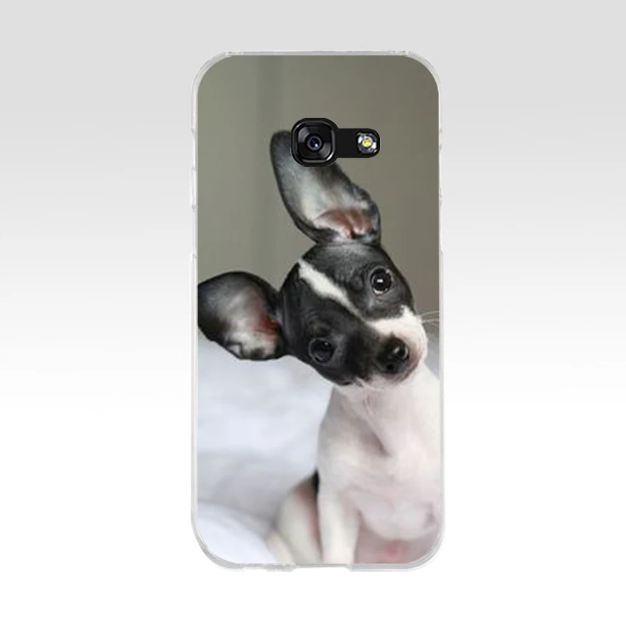 37SD Chihuahua Dog Puppy Soft Silicone Tpu Cover phone Case for Samsung a3 2016 a5 2017 a6 plus a7 a8 a9 star lite s 6 7 8 9 images - 6