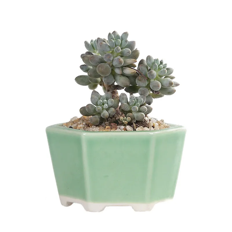 

Домашний декор, керамический цветочный горшок, растение для суккулентов, микродержатель, горшок для офиса, настольное украшение, раститель...