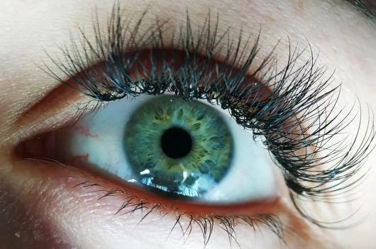 Макрообъектив Ulanzi 10X для камеры смартфона универсальный в комплекте с 2