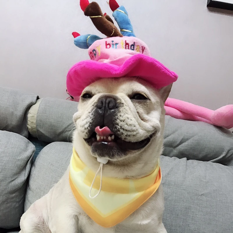 Головной убор для домашних животных аксессуары маленьких собак чихуахуа мопса