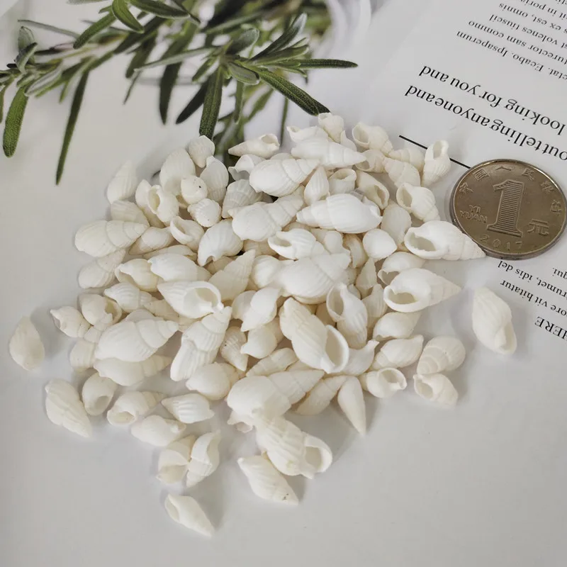 50 шт. декоративные ракушки для аквариума морские | Дом и сад